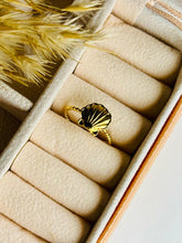 Shell Ring